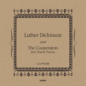 Luther Dickinson - Bang Bang Lulu - Live