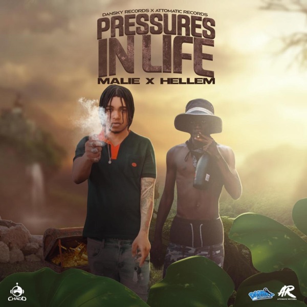 operation-malie-donn-shazam