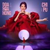 Đoá Hoa Hồng (红玫瑰) [Chengfeng 2023 Version] artwork