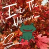 Into the Unknown - Single