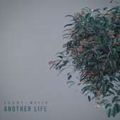 Another Life (feat. Whylo) artwork