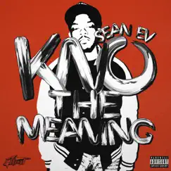 Kno the Meaning - Single by Sean Ev album reviews, ratings, credits