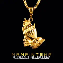 S'yaba Thandazela (feat. Babes Wodumo, CampMasters & LaSoulMates) - Single by Mampintsha album reviews, ratings, credits