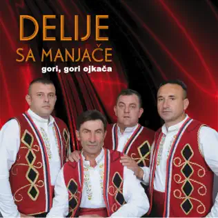 Album herunterladen Delije Sa Manjače - Gori Gori Ojkača