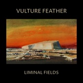 Vulture Feather - Illusion of Time