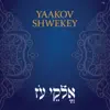 אלקי עז - Single album lyrics, reviews, download