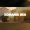România mea (feat. Diana Bucsa) artwork