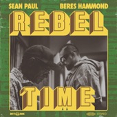 Sean Paul - Rebel Time