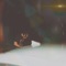 Foolie - RAYN lyrics