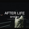 Afterlife - Single