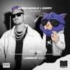 Robin Schulz - Fugazi (LAWRENT Remix)
