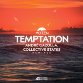Temptation (Andre Gazolla Remix) artwork