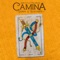 Camina (Suave y Elegante) artwork