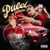 Pulei a Janela - Single