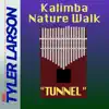 Tunnel (Extended Version) [Extended Version] - Single album lyrics, reviews, download