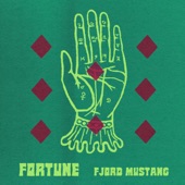 Fjord Mustang - Fortune