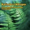 Kalimba's Whisper: Forest Meditation and Spa Tranquility