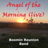 Angel of the Morning (Live) [feat. Merrilee Rush] [Live] artwork