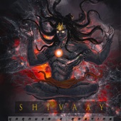 SHIVAAY (Extended Version) artwork