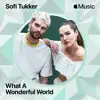 Stream & download What a Wonderful World