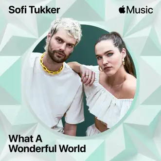 What a Wonderful World by Sofi Tukker song reviws