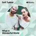 What a Wonderful World song reviews