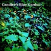 Candice's Blue Garden - Single