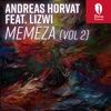 Memeza (Vol 2) [feat. Lizwi] - Single