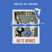 No Te Apures artwork