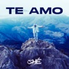 Te Amo - Single