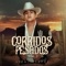 Don Pedro - Alemi Bustos lyrics