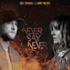 Never Say Never - Single