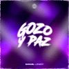 Gozo y paz - Single