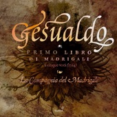 Gesualdo: Madrigals artwork