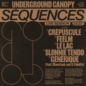 Underground Canopy, Bluestaeb, S. Fidelity - Crépuscule