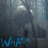 What? - EP