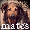 Beldi's.Beau