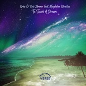 To Touch a Dream (Spins Chill Mix) [feat. Magdalen Silvestra] artwork