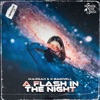 A Flash In the Night - Single