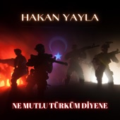 Ne Mutlu Türküm Diyene artwork