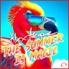 The Summer Is Magic - Single