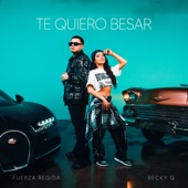 Te Quiero Besar artwork