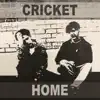 Foundations, Vol. 1 (Cricket Home) album lyrics, reviews, download