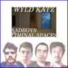 Sadboys in Liminal Spaces album lyrics, reviews, download