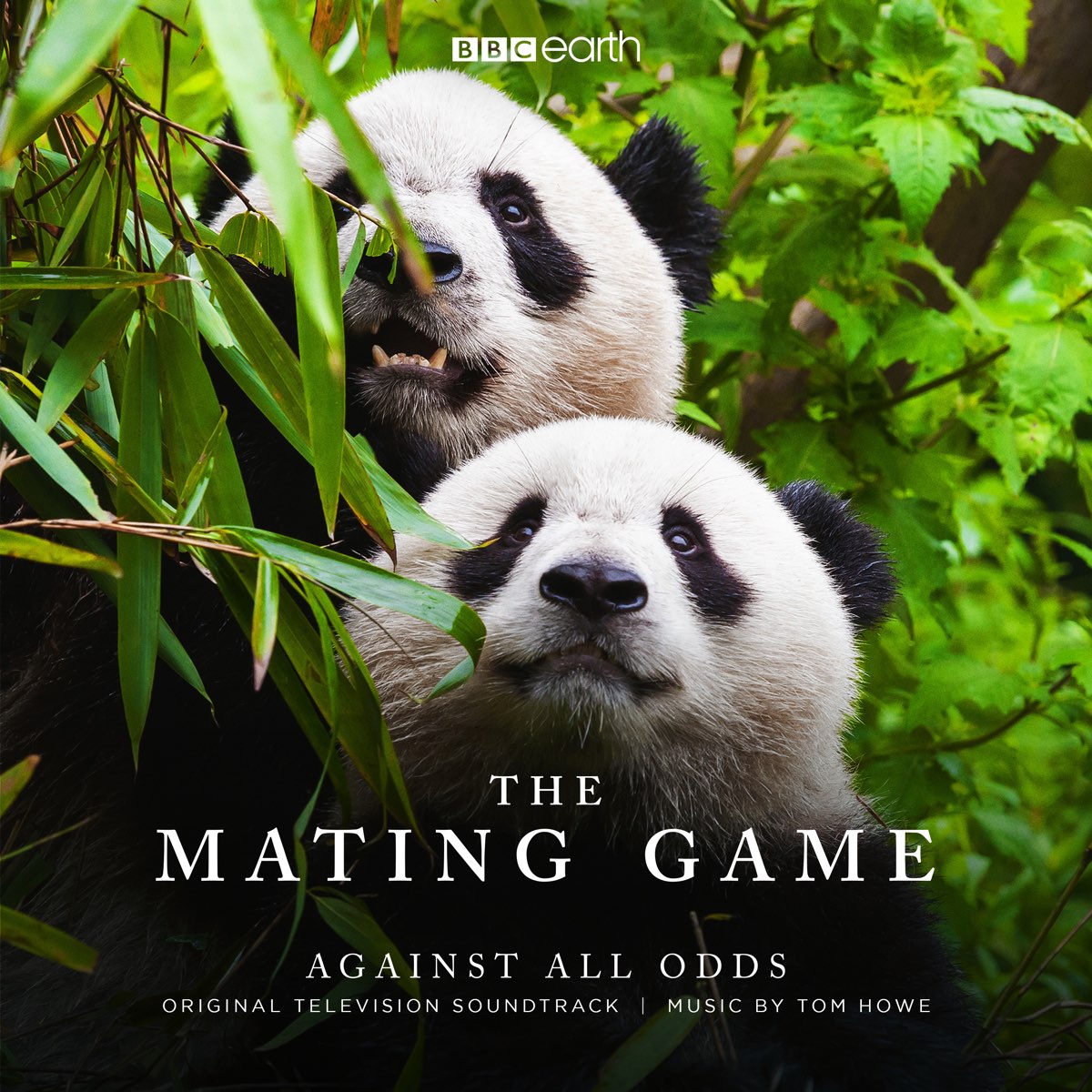 listen, The Mating Game - Against All Odds (Original Television Soundtrack)...