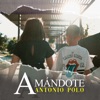 Amándote - Single