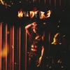 Wildfire - Single