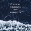 Classical Lullabies from Nature 24