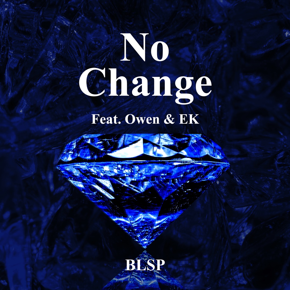 BLSP – No Change – Single