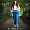 12 Goodbyes - Single